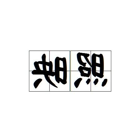 照映 意思